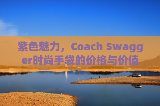 紫色魅力,Coach Swagger时尚手袋的价格与价值 紫色魅力,Coach Swagger时尚手袋的价格与价值